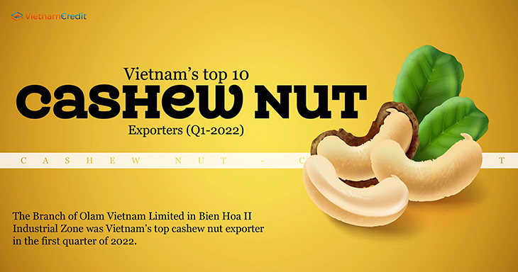 Vietnam’s top 10 cashew nut exporters (Q1 2022)